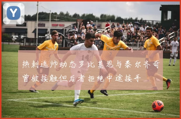 热刺选帅动态罗比基恩与泰尔齐奇曾被接触但后者拒绝中途接手