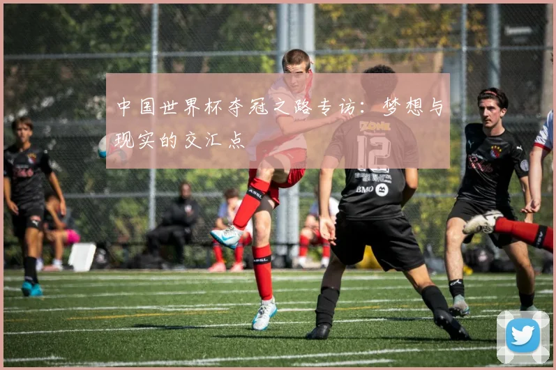 中国世界杯夺冠之路专访：梦想与现实的交汇点