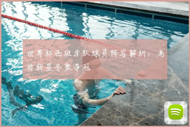 世界杯西班牙队球员阵容解析，老将新星齐聚争冠