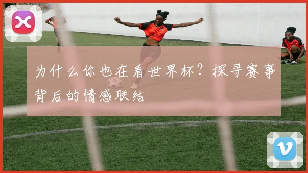为什么你也在看世界杯？探寻赛事背后的情感联结