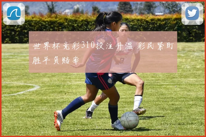 世界杯竞彩310投注升温 彩民紧盯胜平负赔率