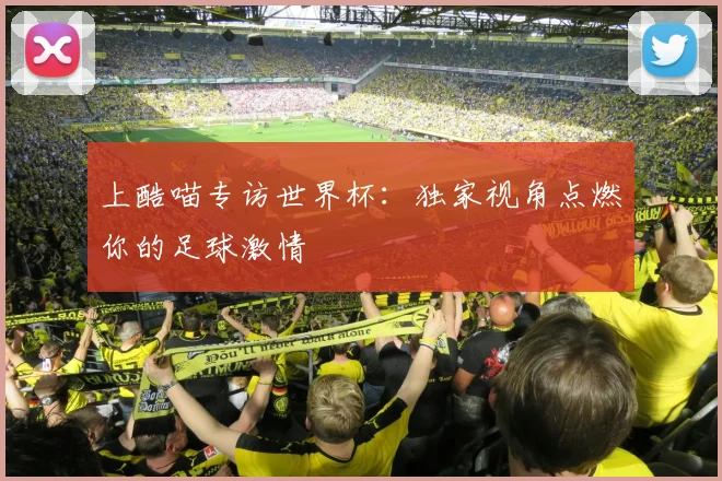 上酷喵专访世界杯：独家视角点燃你的足球激情